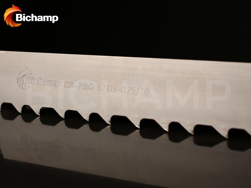 Multi Purpose Carbide Sawmill Blade CB-PRO® High Performance